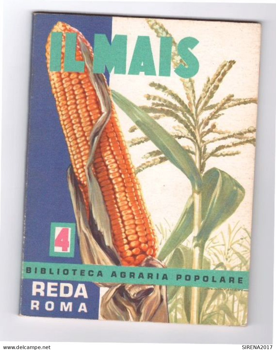 IL MAIS - N° 4 - REDA ROMA 1968 - Da Identificare