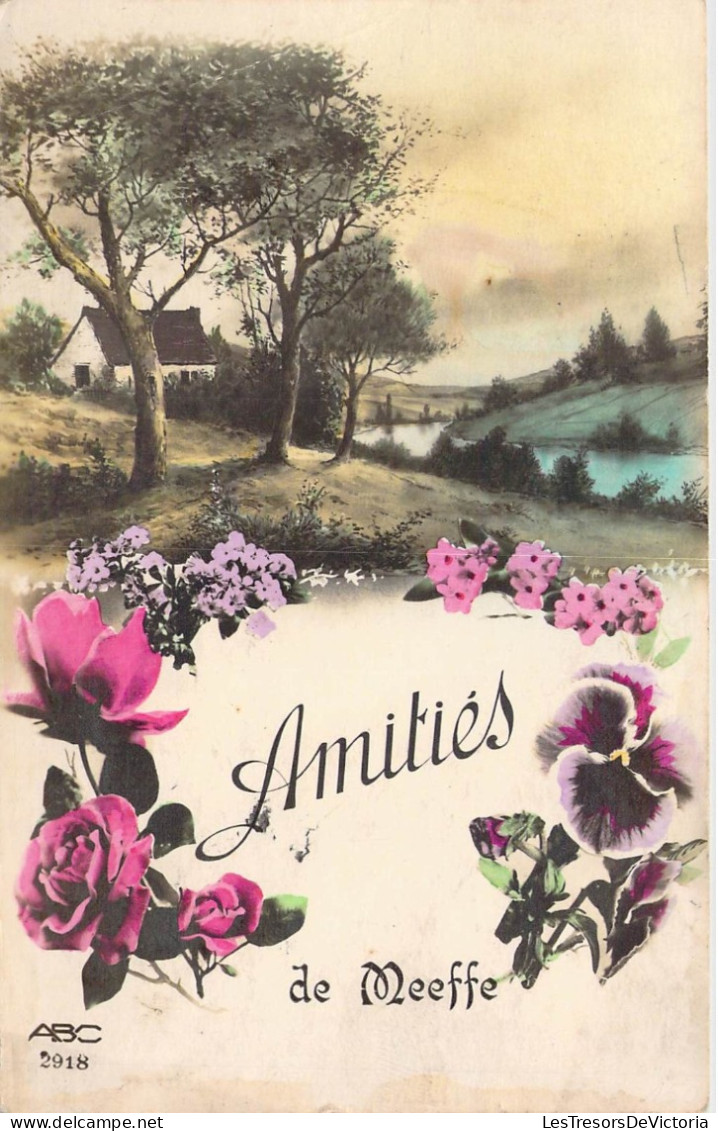 Belgique - Meeffe - Amitiés De Meeffe - Paysage Et Fleurs - Carte Postale Ancienne - Wasseiges