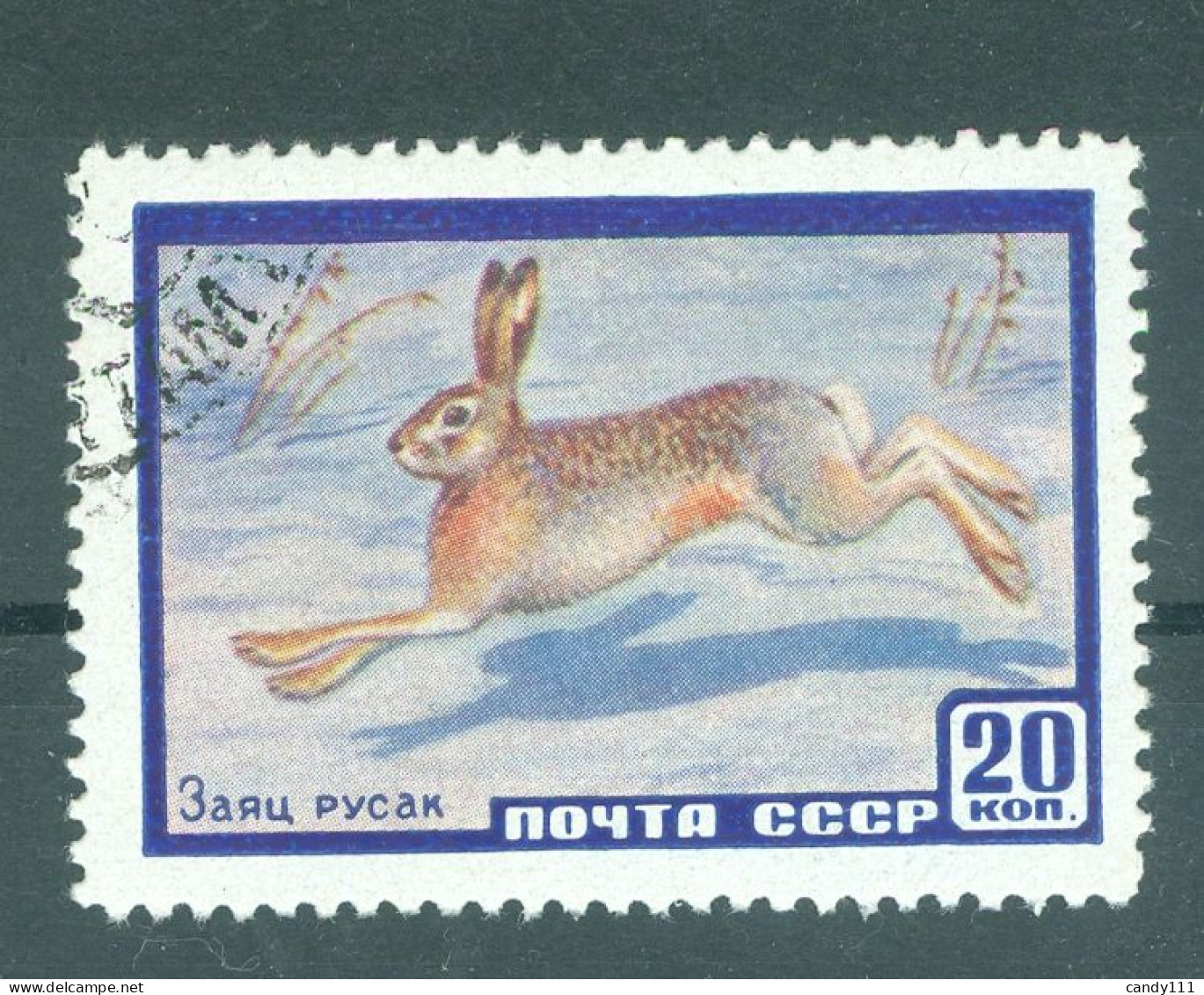 1960 Animals,European Hare Lepus Europaeus,Russia, Mi.2323,CTO - Lapins