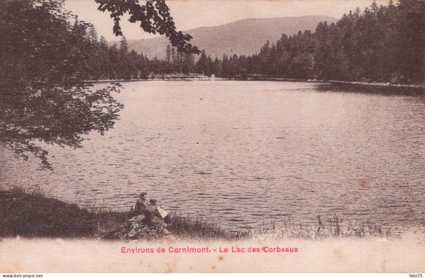 ENVIRONS DE CORNIMONT LE LAC DES CORBEAUX - Cornimont