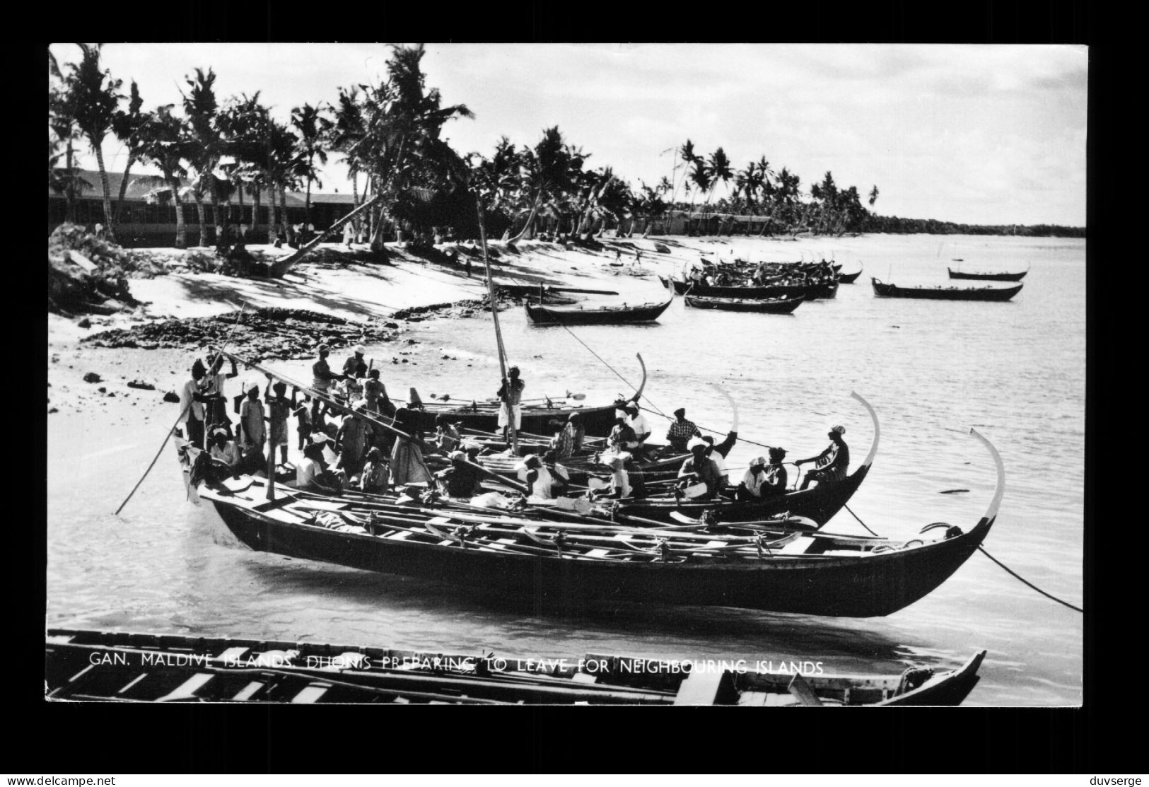 Gan Maldive Islands  Dhonis Preparing To Leave For Neighbouring Islands ( Format 9cm X 14cm ) - Maldives
