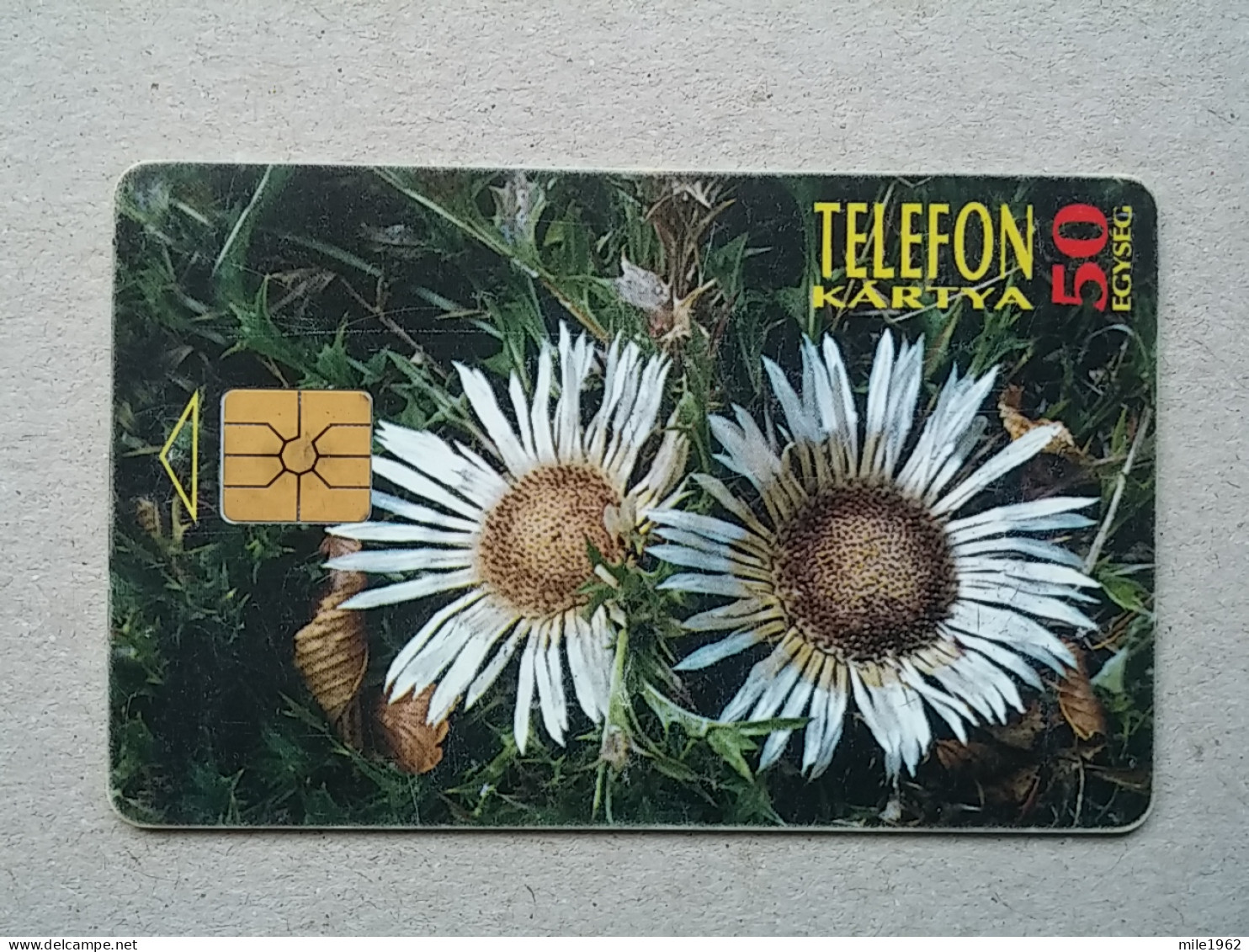 T-580 - Hungary, Telecard, Télécarte, Phonecard, Flower, Fleur - Hongrie