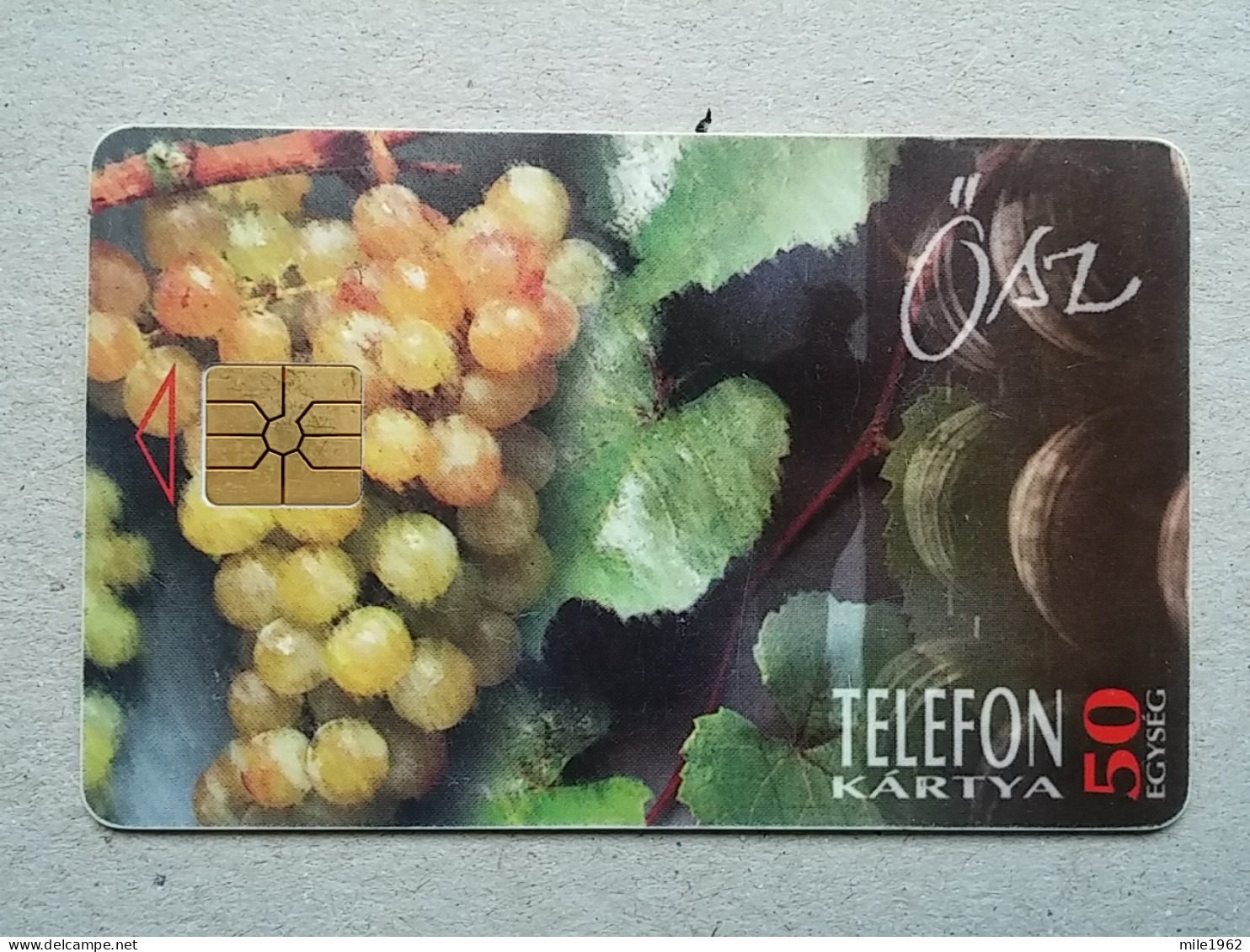 T-581 - Hungary, Telecard, Télécarte, Phonecard - Ungheria