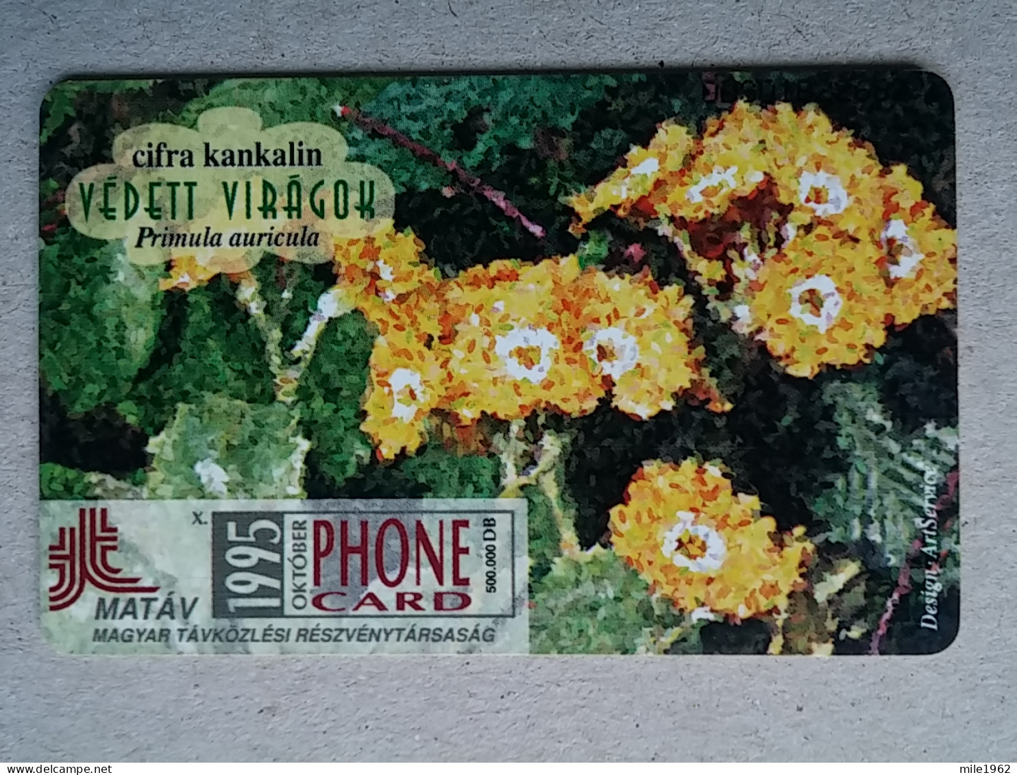 T-582 - Hungary, Telecard, Télécarte, Phonecard, Flower, Fleur - Hongarije