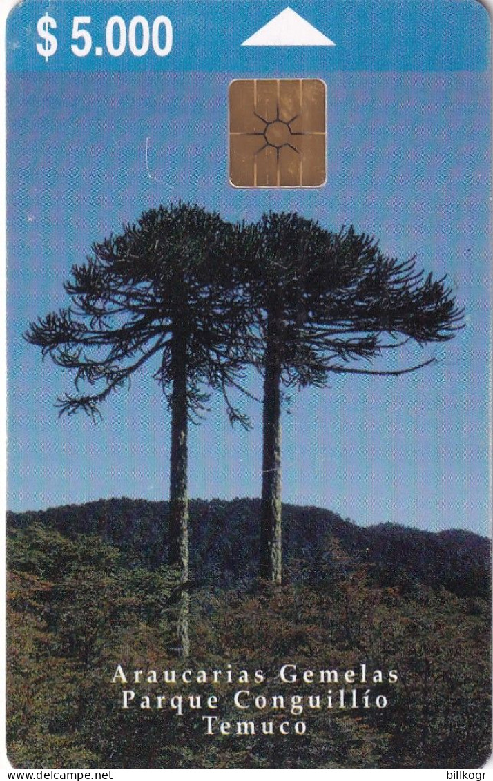 CHILE - Araucarias Gemelas/Parque Conguillio Temuco, Tirage %20000, 12/99, Used - Chile