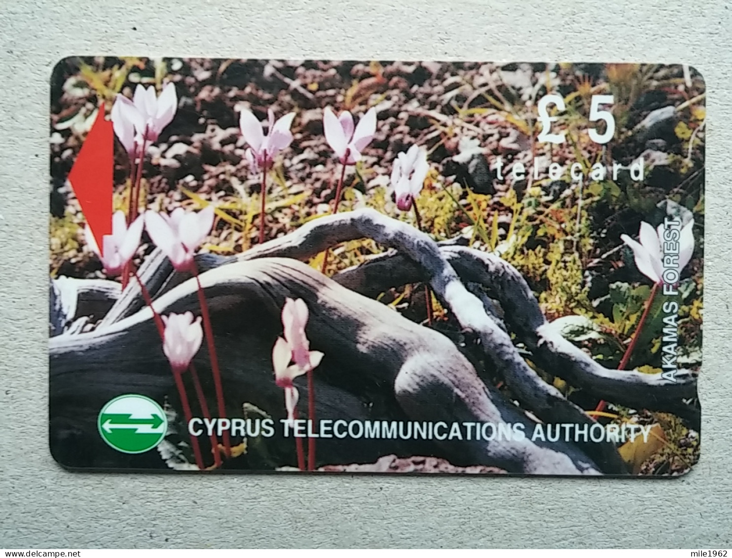 T-598 - CYPRUS Telecard, Télécarte, Phonecard,  - FLOWER, FLEUR - Zypern