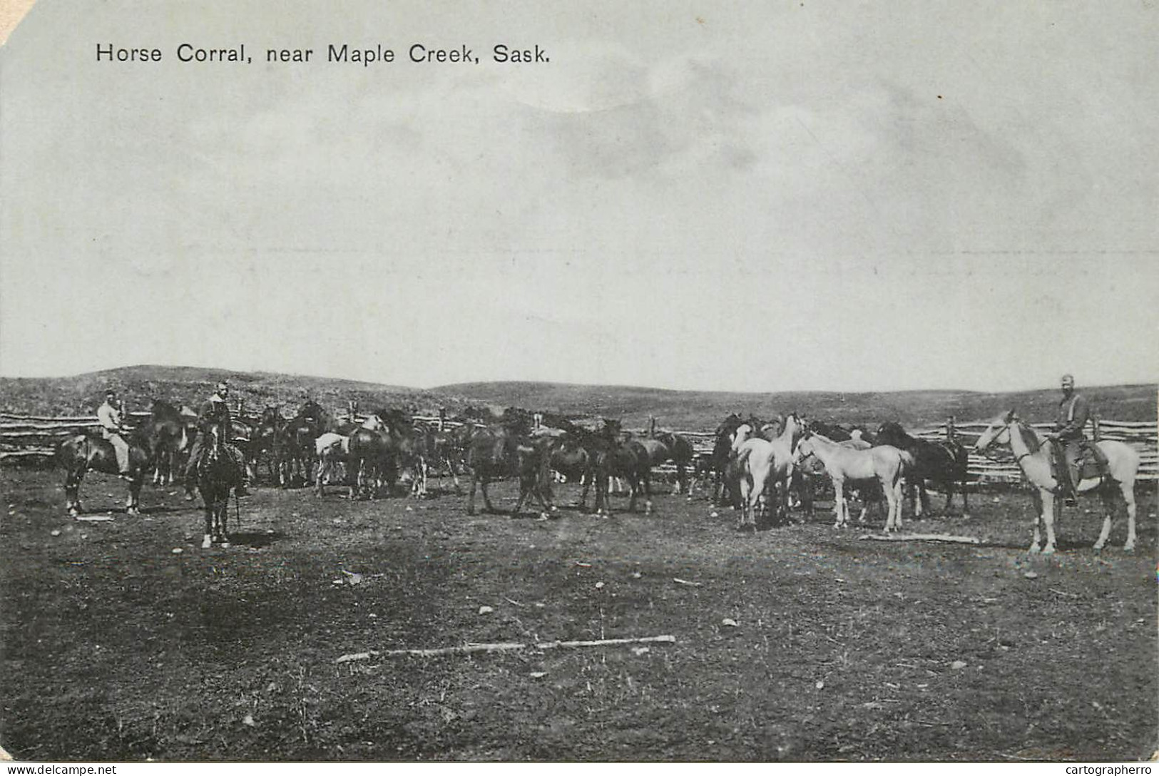 Canada Saskatchewan Horse Coral Near Maple Creek - Autres & Non Classés