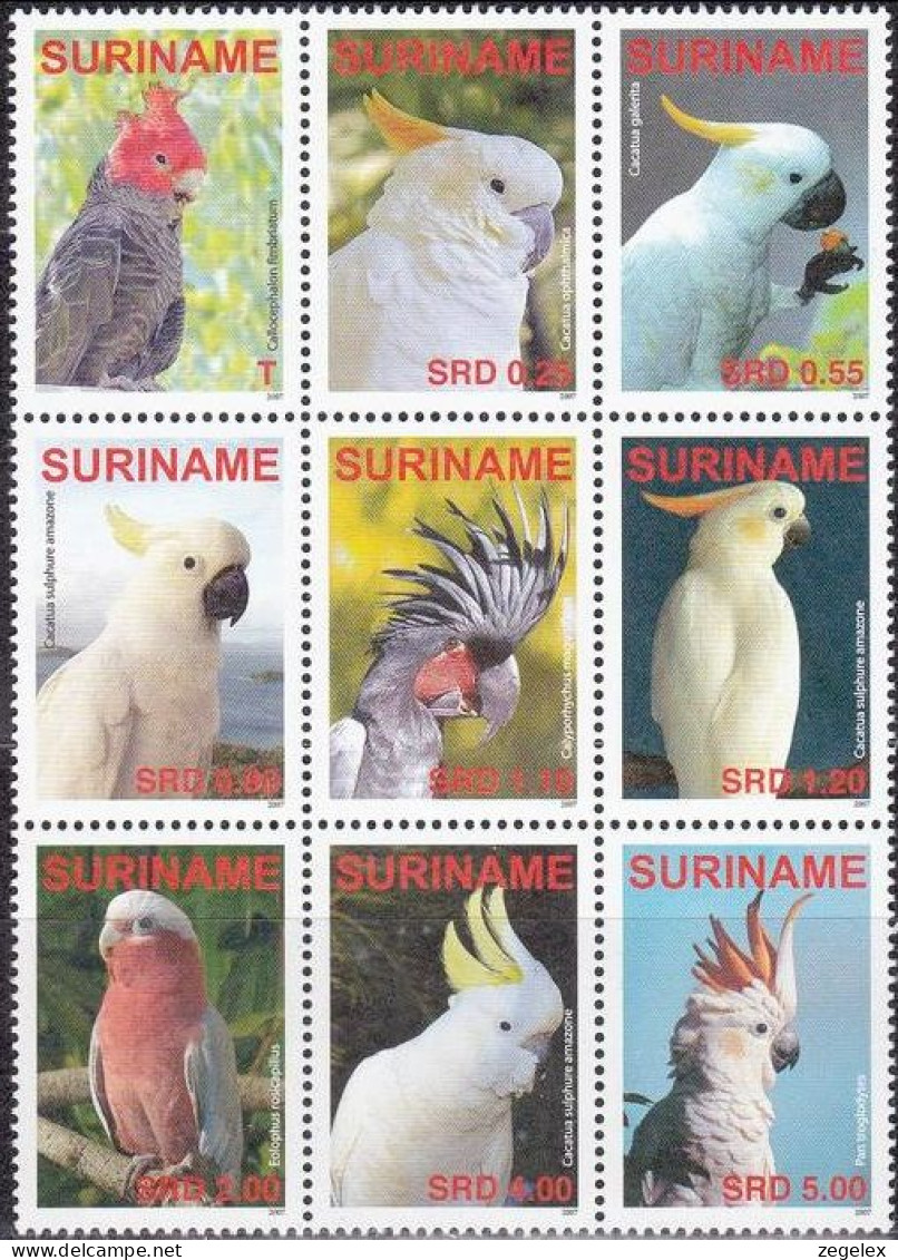 Suriname 2007 Parrots, Birds MNH/**/Postfris  - Suriname