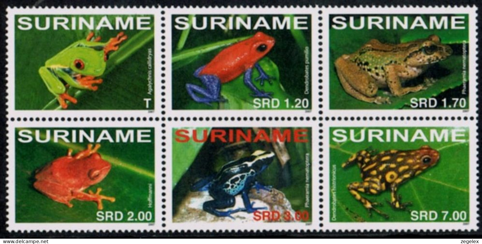 Suriname 2007 Frogs, Kikkers MNH/**/Postfris  - Suriname