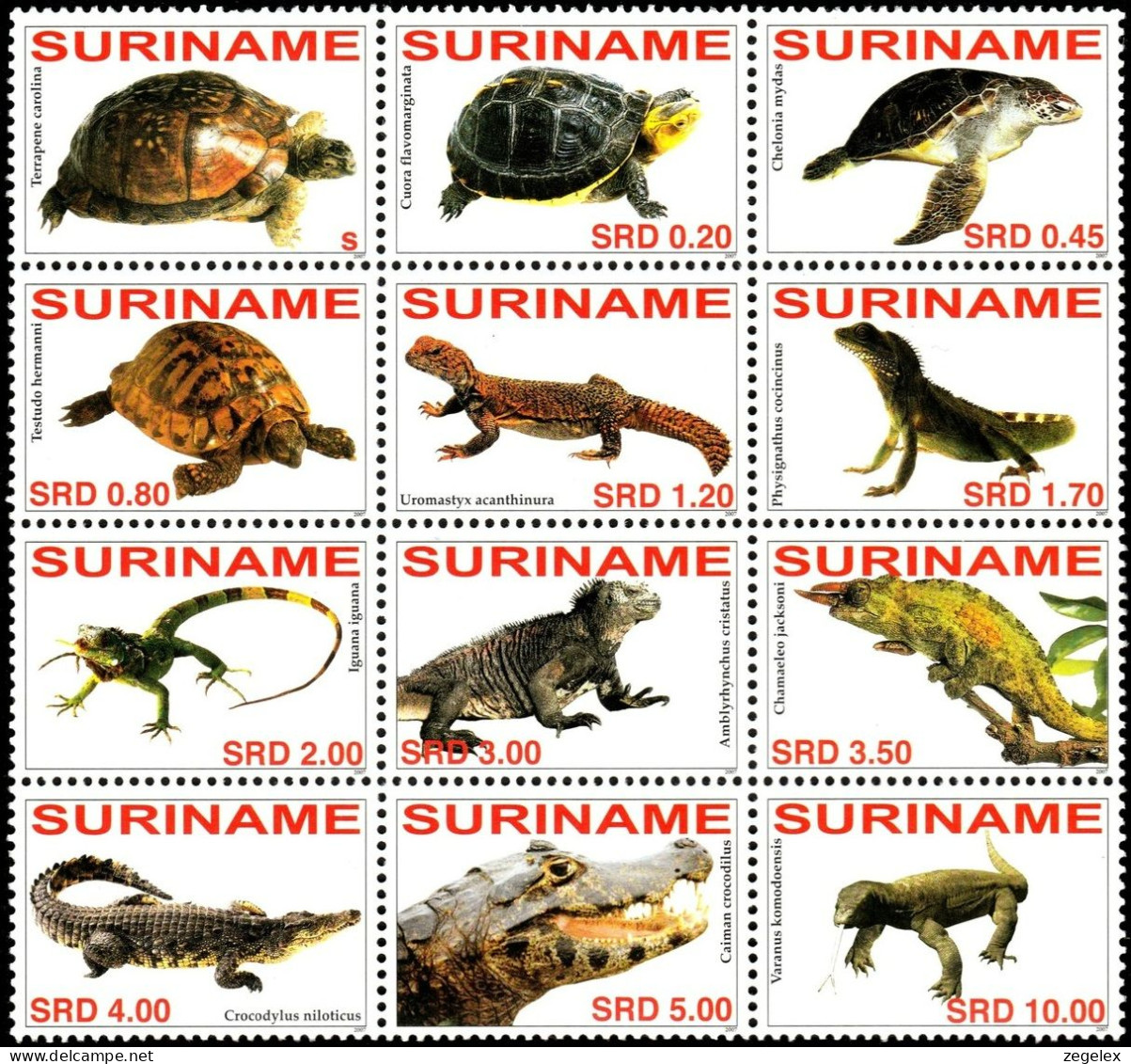 Suriname 2007 Crocodiles, Reptiles, Turtles MNH/**/Postfris  - Suriname