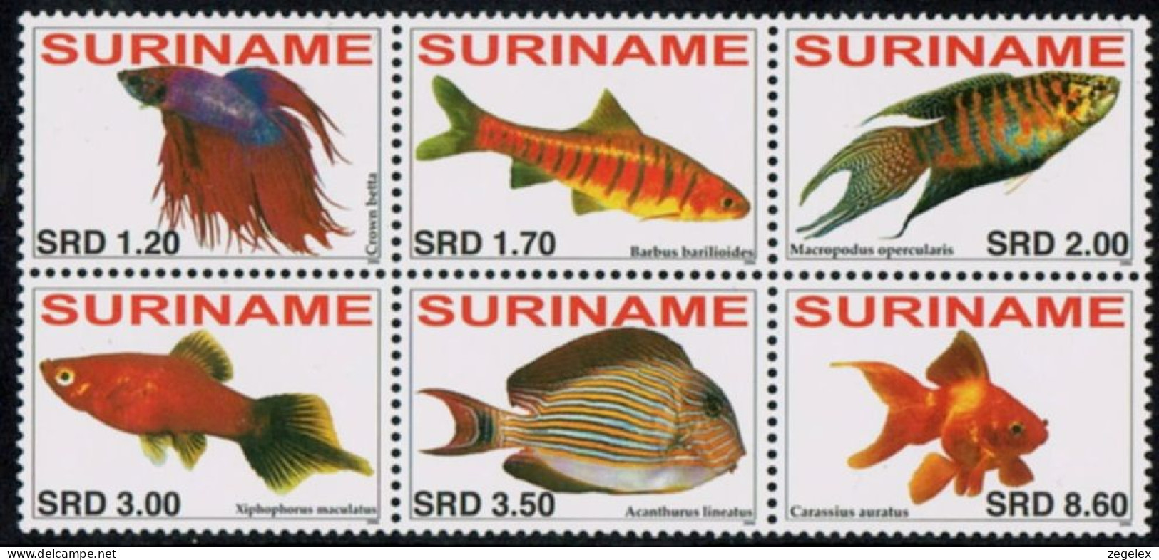 Suriname 2006 Fish MNH/**/Postfris  - Suriname