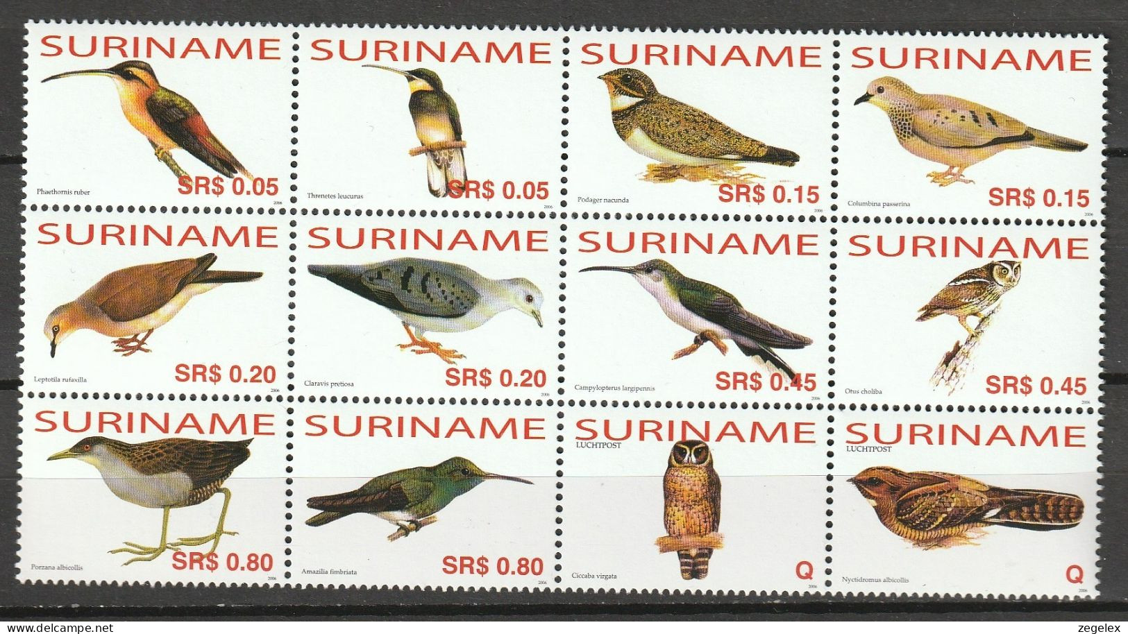 Suriname 2006 Birds, Owls MNH/**/Postfris  - Suriname