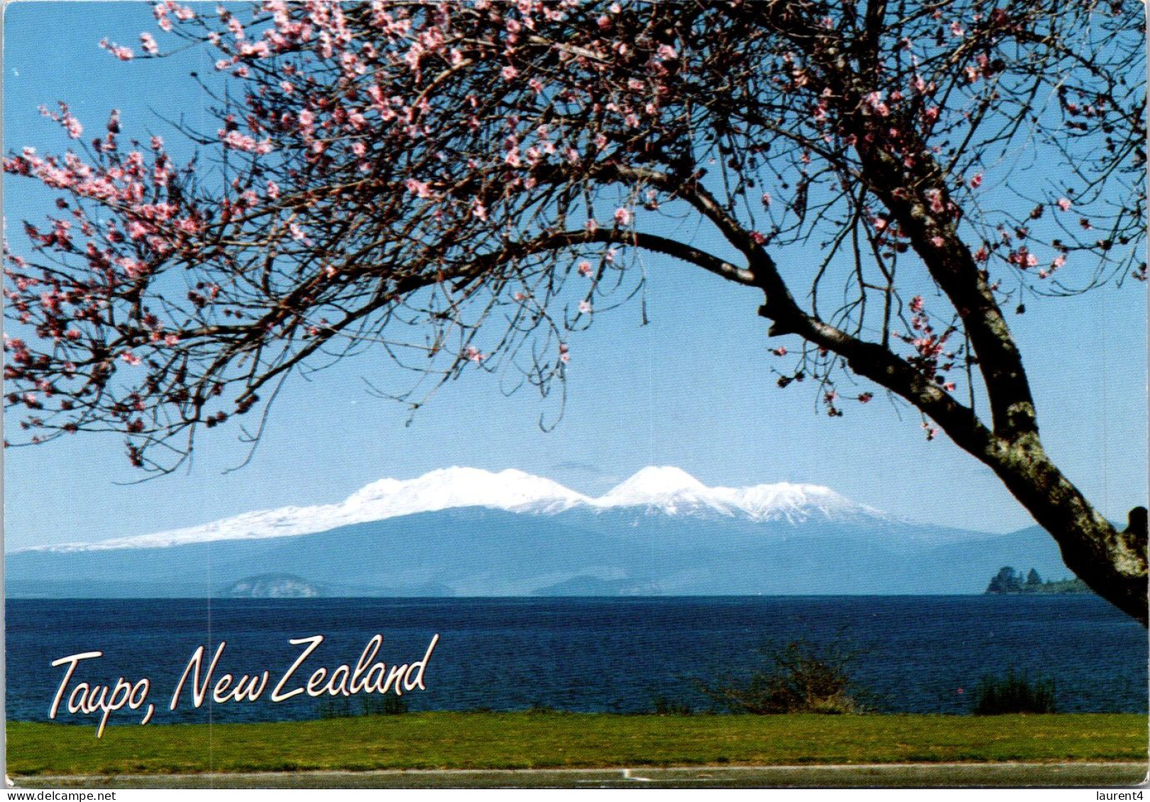 19-1-2024 (1 X 35) New Zealand - Taupo - Nouvelle-Zélande