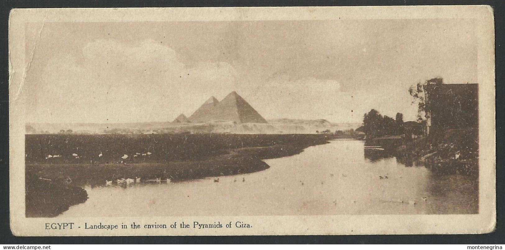 EGYPT Gizeh - Landscape - Pyramids Of Giza - Stylianos Coutsiods - Old Postcard 14,5 X 7 Cm(see Sales Conditions)9739 - Gizeh