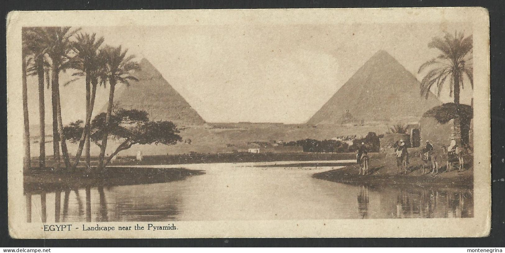 EGYPT Landscape Near The Pyramids - Stylianos Coutsiods - Old Postcard 14,5 X 7 Cm(see Sales Conditions)9740 - Gizeh