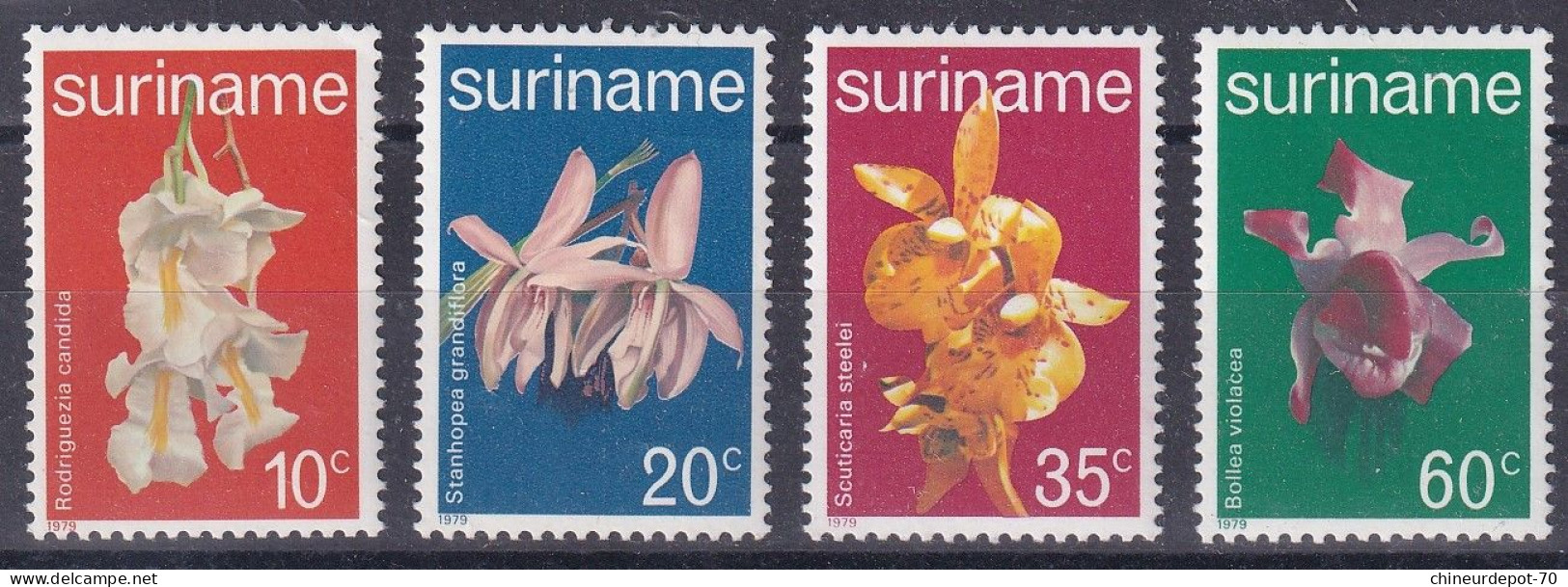 Suriname Surinam Neufs Sans Charnière ** 1979 Rodriguezia Candida Stanhopea Grandiflora Fleurs ** - Suriname