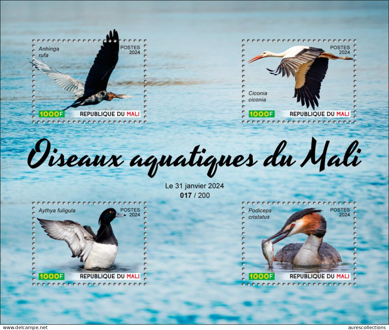 MALI 2024 M/S 4V - AQUATIC BIRDS - OISEAUX AQUATIQUES - DUCK DUCKS STORK STORKS CIGOGNE CANARD CANARDS - MNH - Ducks