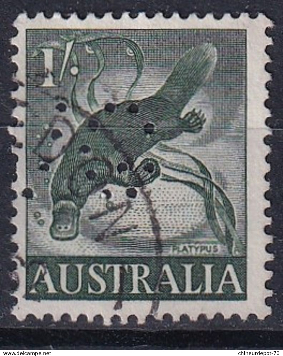 Australia 1959 -1960 Animal Ornithorhynchus Anatinus Perforé Perforation - Perfins