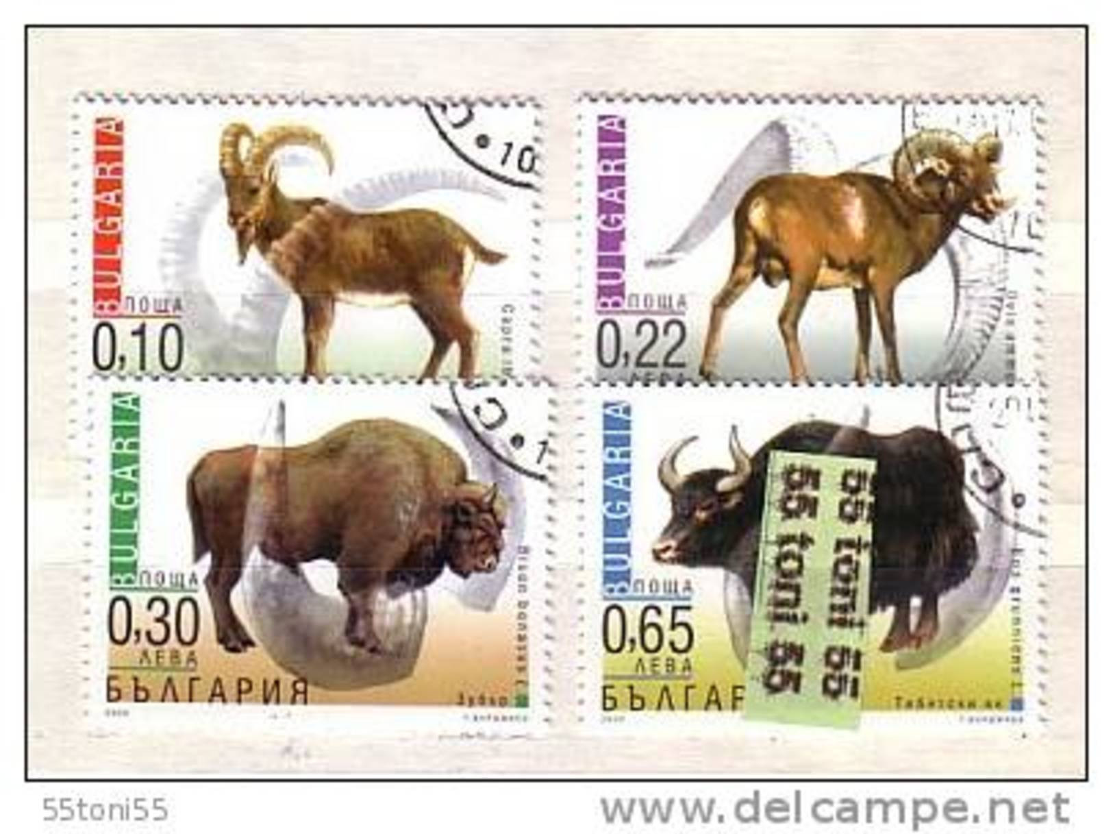 2000 Fauna - Animals 4v.- Used/oblitere (O) Bulgaria / Bulgarie - Gebruikt