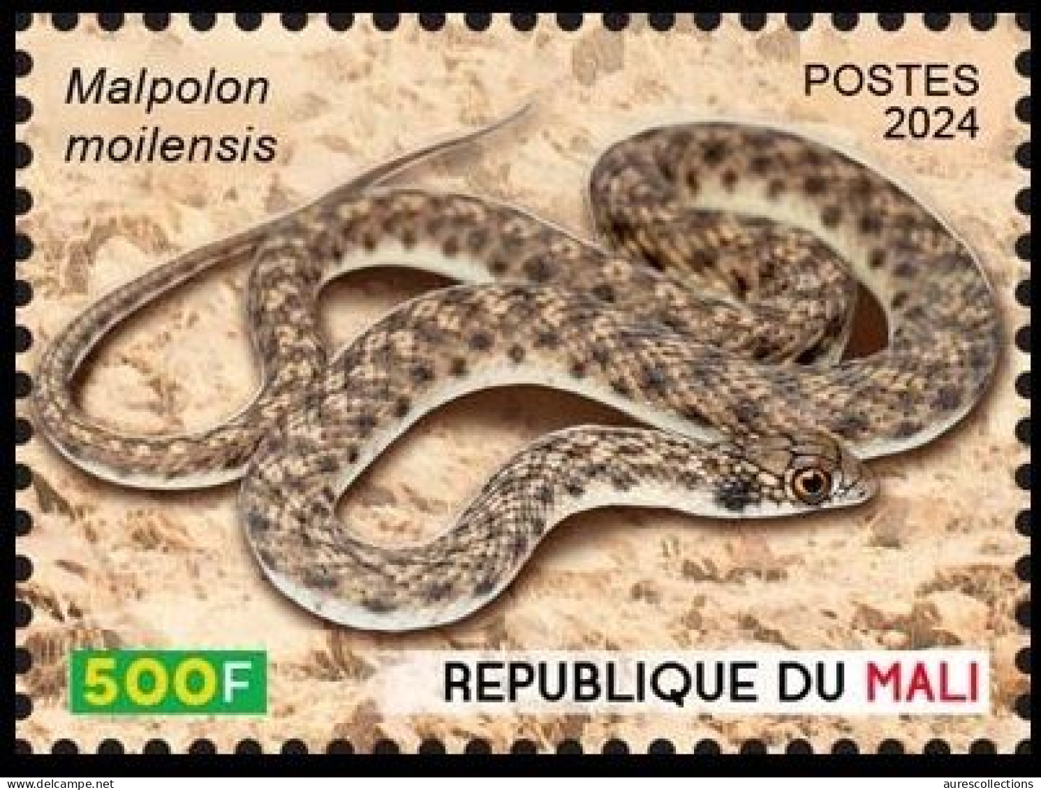 MALI 2024 STAMP 1V - REPTILES REPTILE - SNAKES SNAKE SERPENT SERPENTS - MNH - Snakes