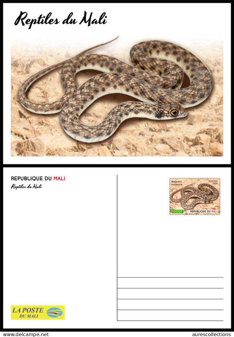 MALI 2024 STATIONERY CARD - REPTILES REPTILE - SNAKES SNAKE SERPENT SERPENTS - Serpents