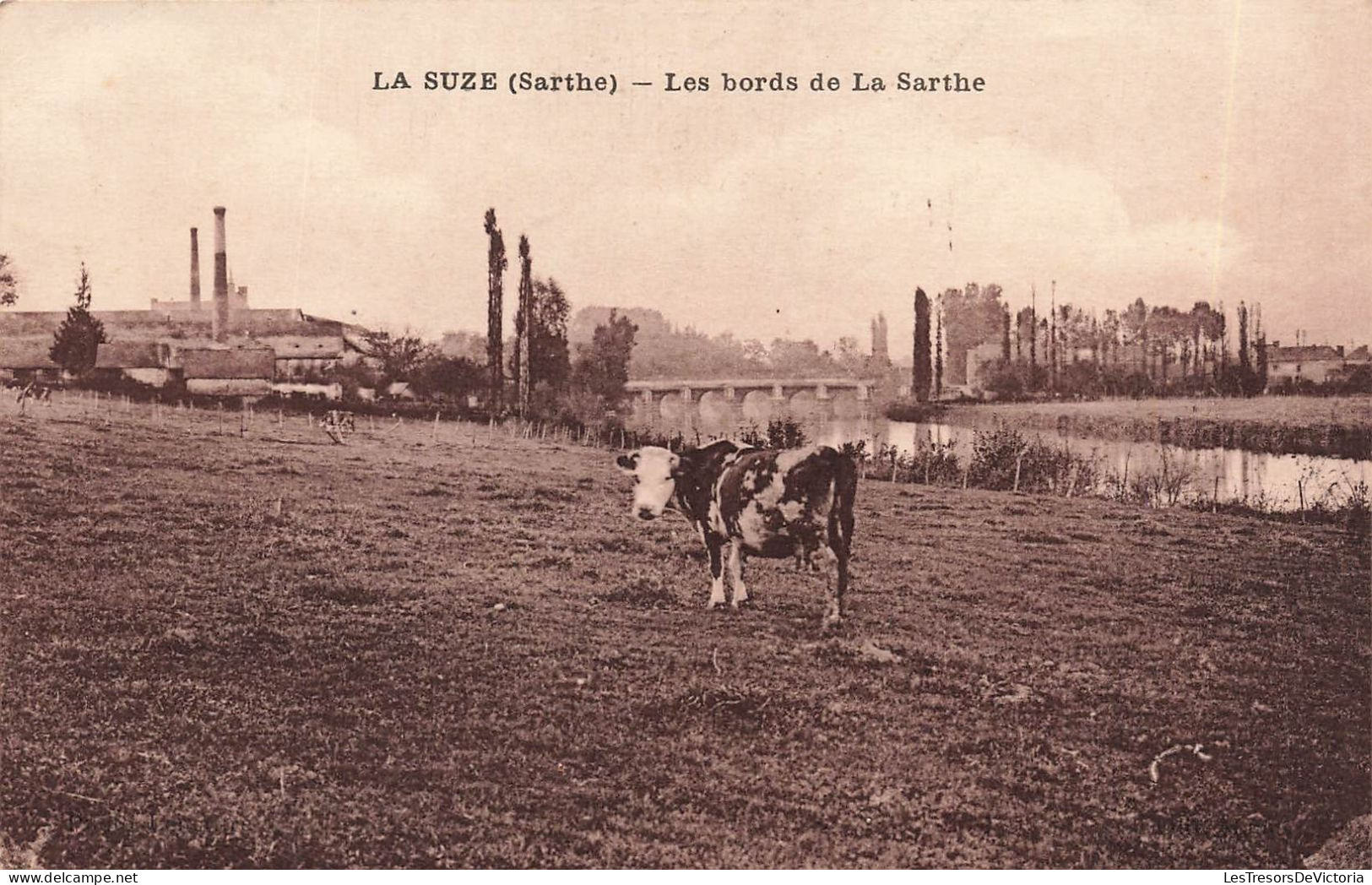 FRANCE - La Suze - Les Bords De La Sarthe - Carte Postale Ancienne - La Suze Sur Sarthe