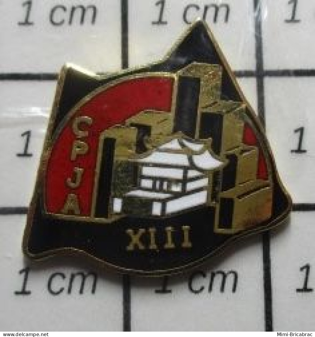 0220 Pin's Pins / Beau Et Rare : POLICE / POLICE NATIONALE JUDICIAIRE CPJA XIII ITALIE PARIS 75 ~ET - Police