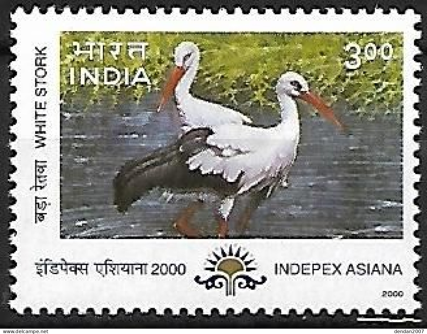India - MNH ** 2000 :   White Stork  -  Ciconia Ciconia - Storchenvögel