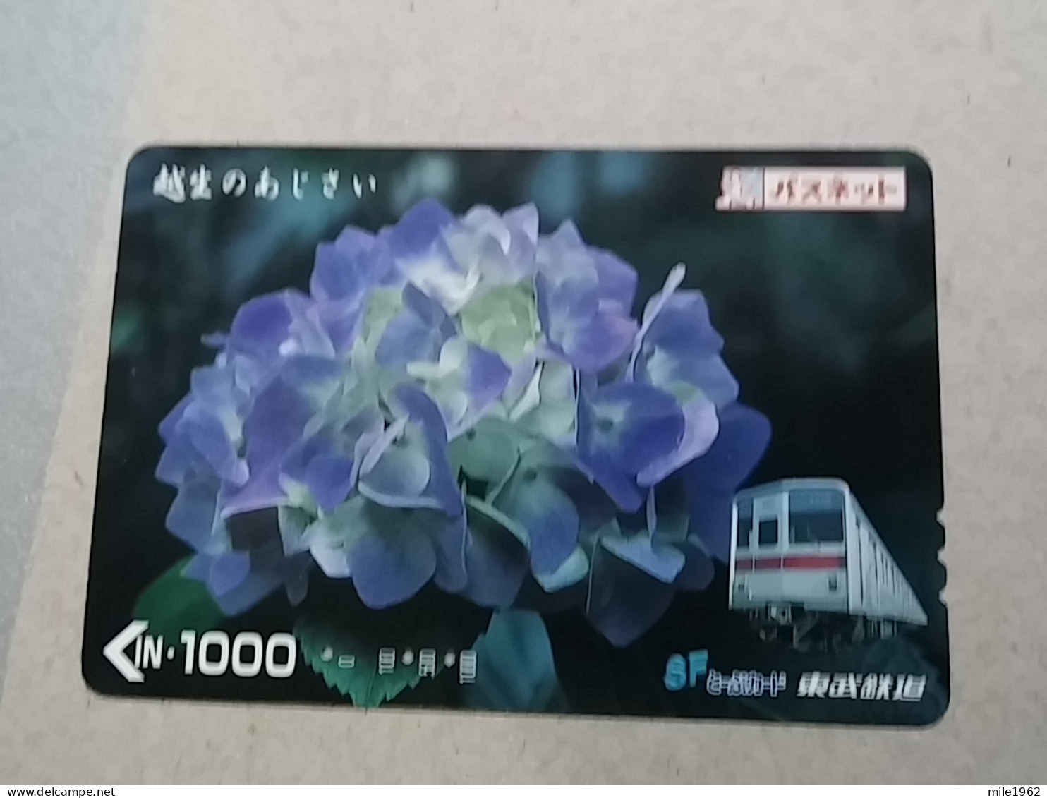 T-618 - JAPAN, Japon, Nipon, Carte Prepayee, Prepaid Card, CARD, RAILWAY, TRAIN, CHEMIN DE FER - Treni