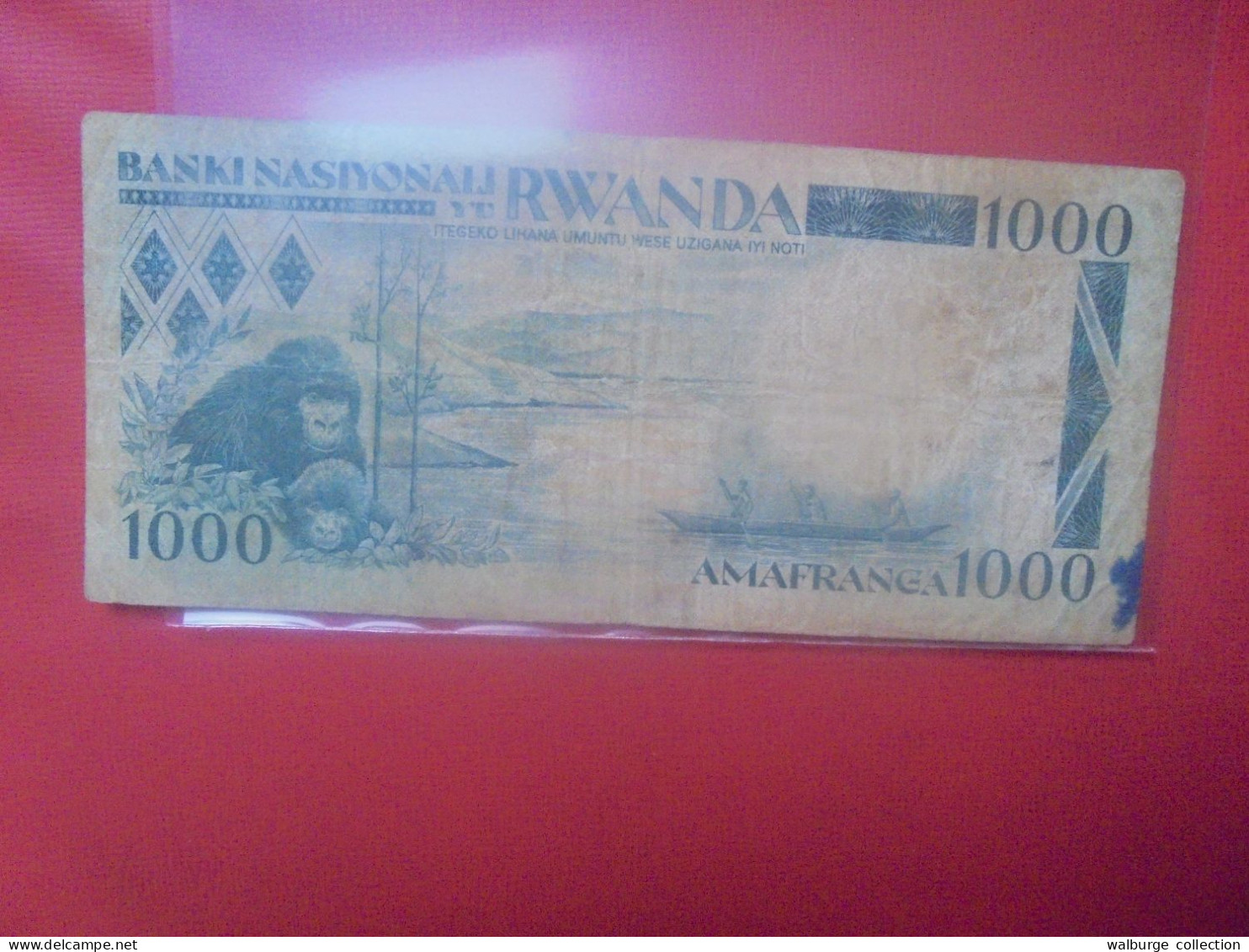 RWANDA 1000 Francs 1981 Circuler (B.32) - Rwanda