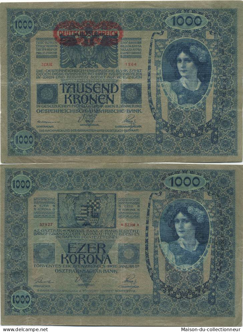 Billet De Banque Collection Autriche - PK N° 59 - 1000 Kronen - Oesterreich