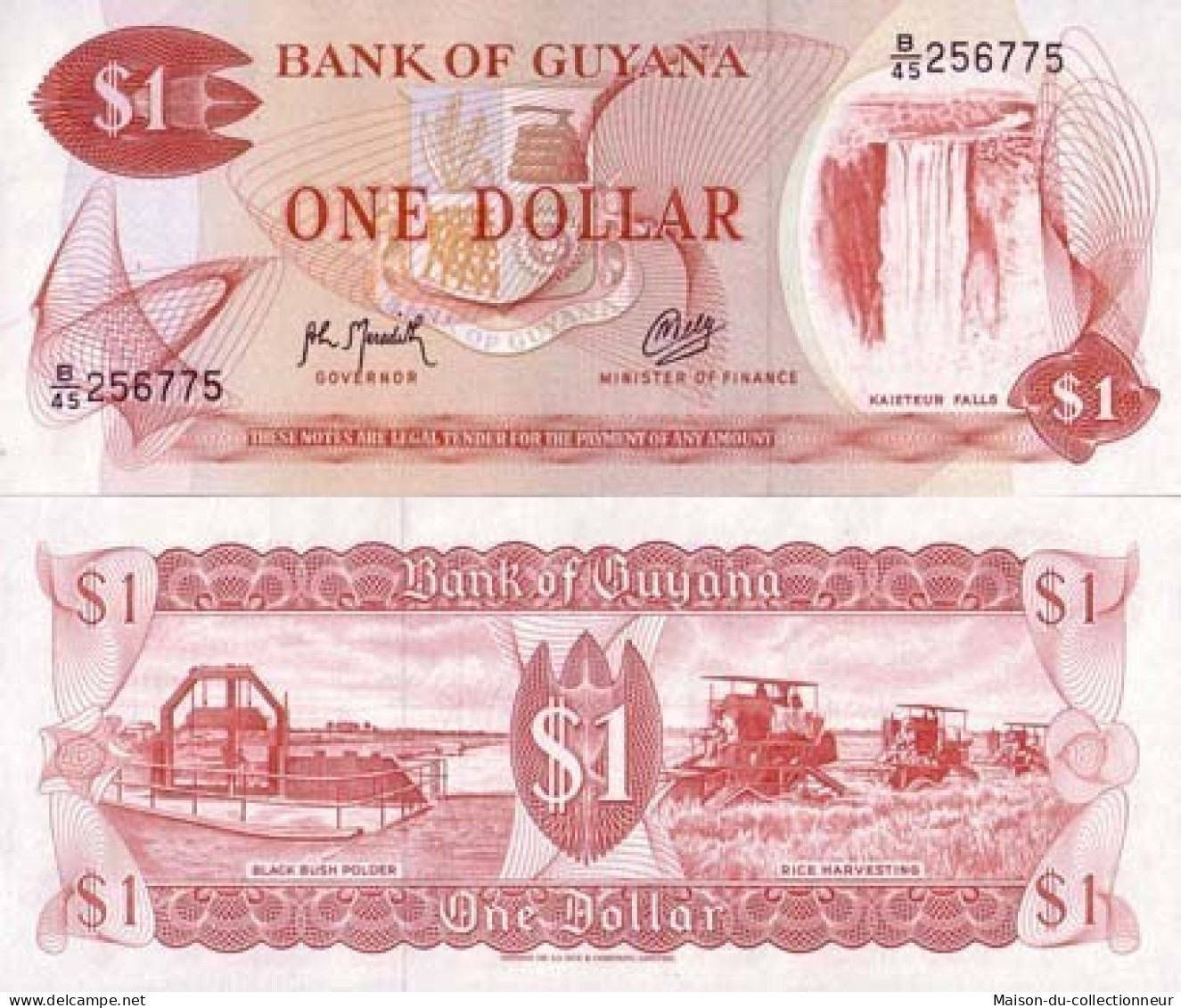 Billets Banque Guyana Pk N° 21 - 1 Dollar - Guyana