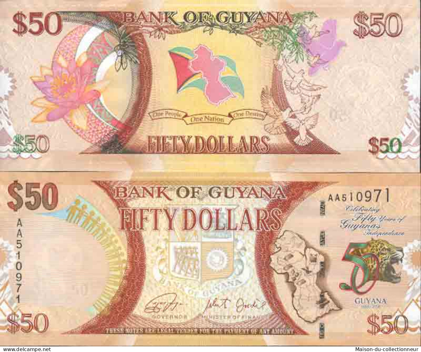 Billet De Banque Collection Guyana - PK N° 41 - 50 Dollars - Guyana