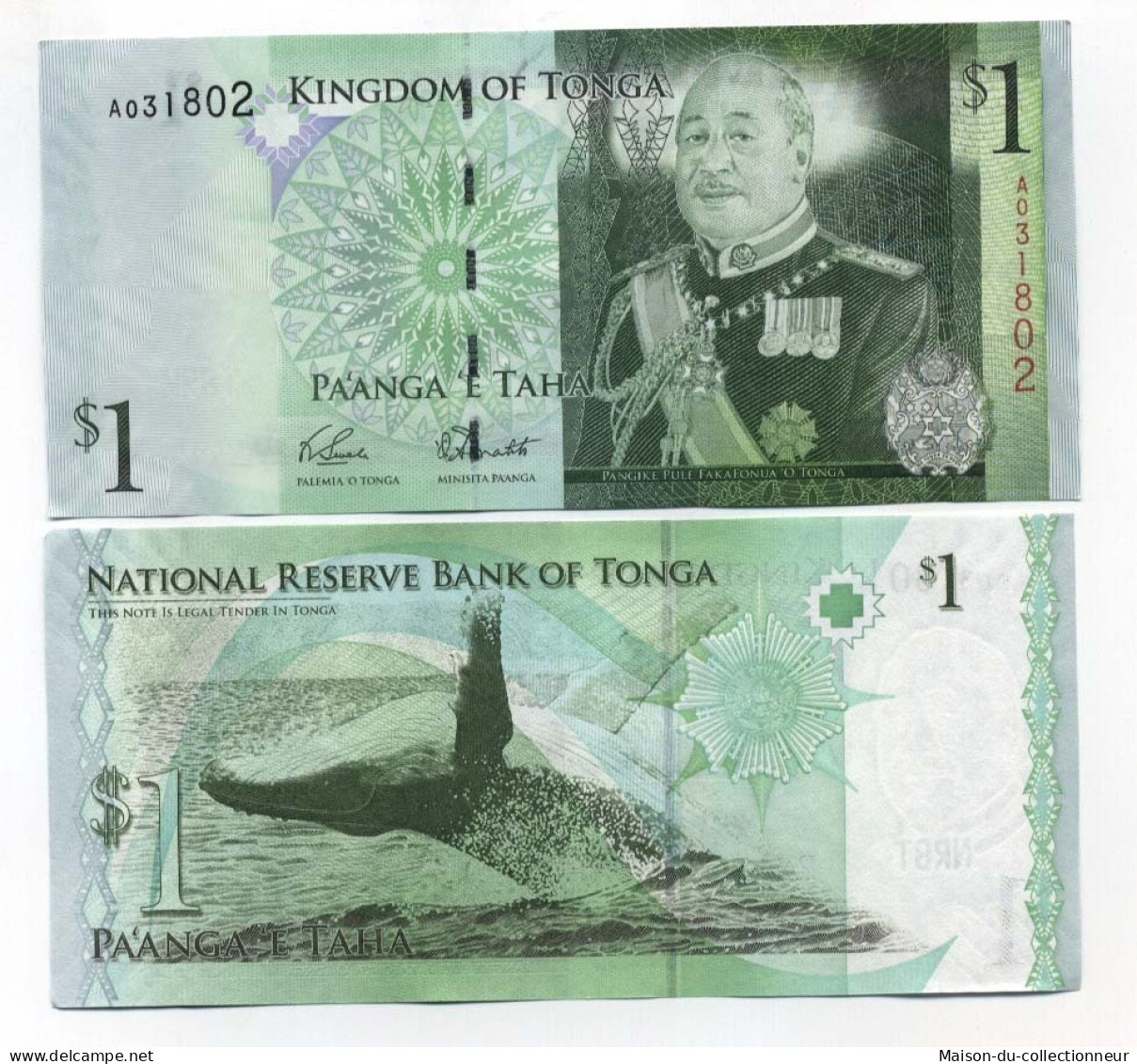Billets Banque Tonga Pk N° 37 - 1 Pa'anga - Tonga