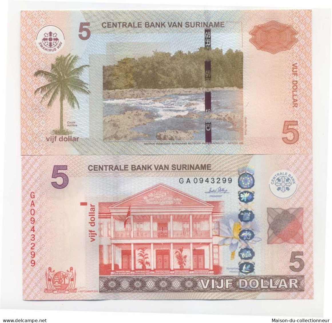 Billets Collection Surinam Pk N° 162 - 5 Dollars - Suriname