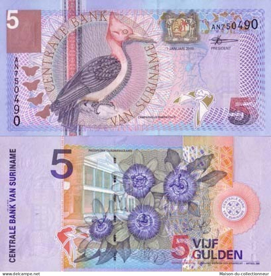 Billets De Banque Surinam Pk N° 146 - 5 Gulden - Suriname