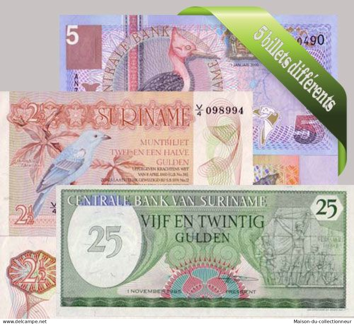 Suriname : Bel Ensemble De 5 Billets De Banque De Collection. - Surinam