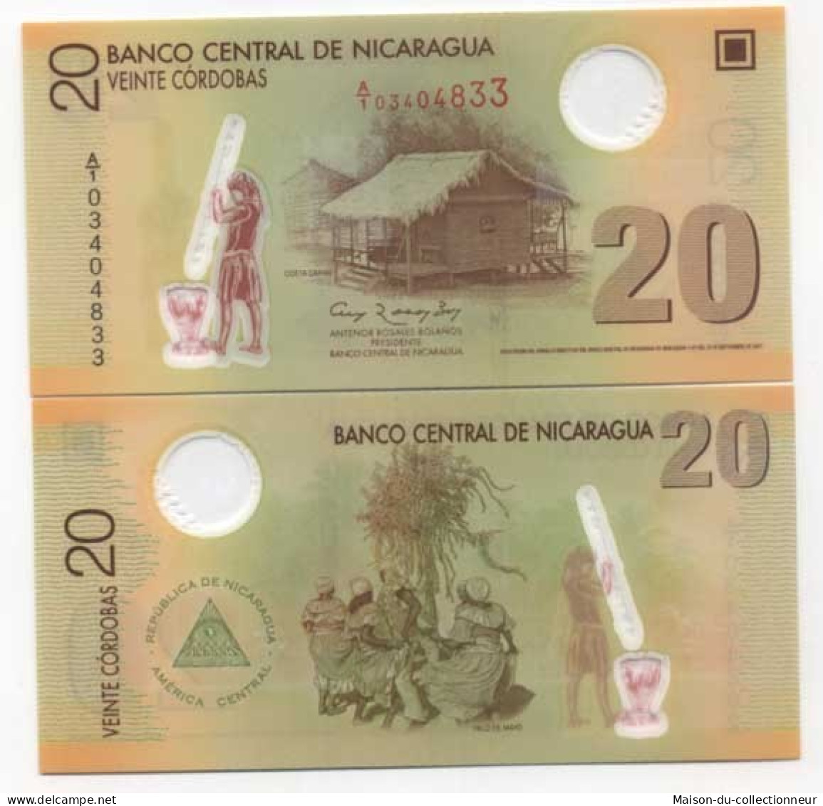 Billets De Banque Nicaragua Pk N° 202 - 20 Cordobas - Nicaragua