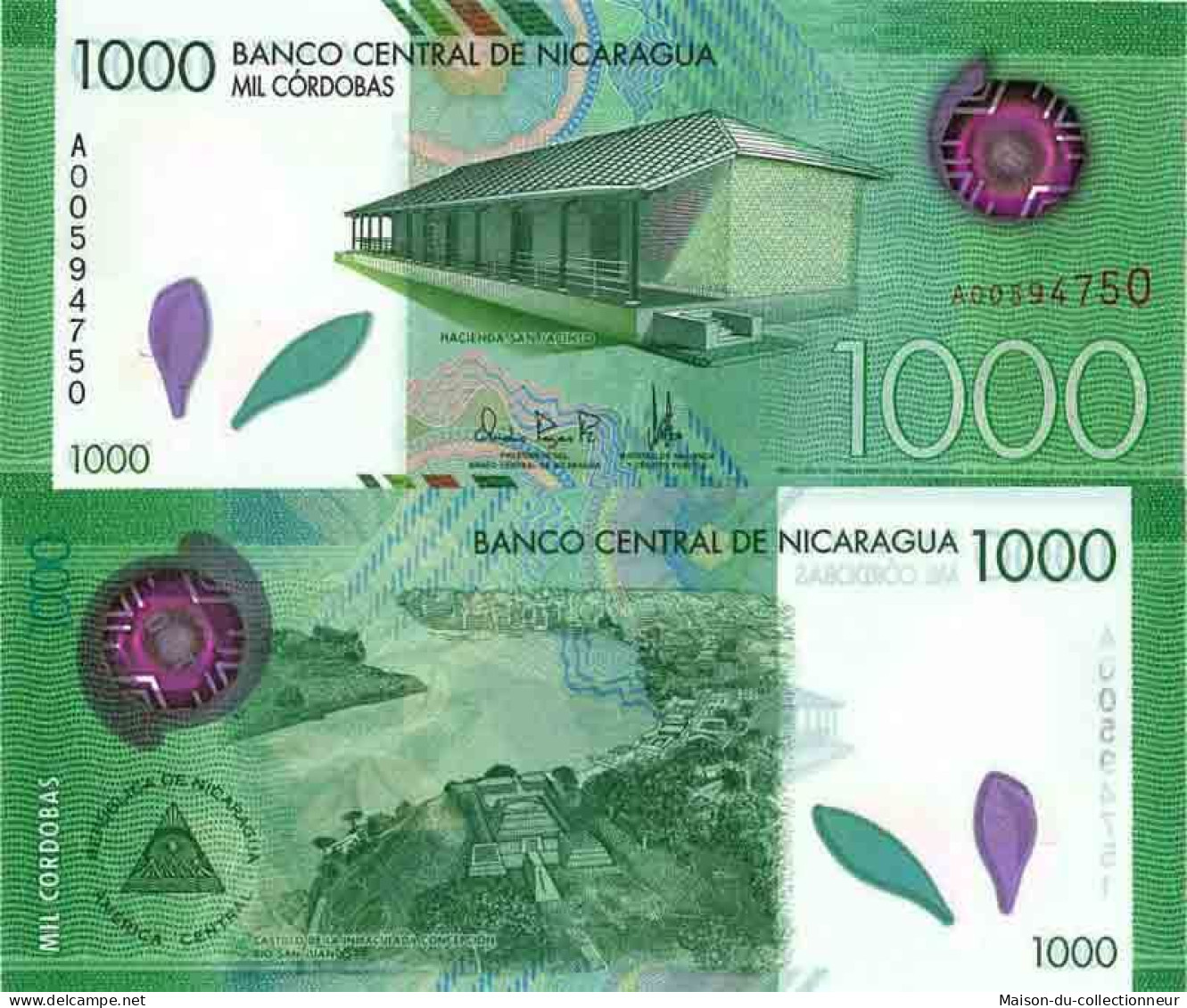Billet De Banque Collection Nicaragua - W N° 218 - 1 000 Cordobas - Nicaragua