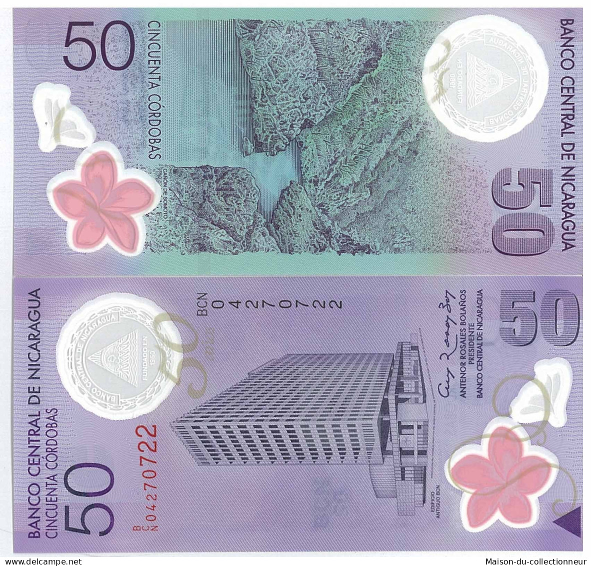 Billets Banque Nicaragua Pk N° 203 - 50 Cordobas - Nicaragua