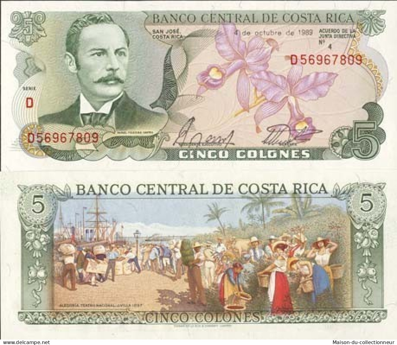 Billet De Collection Costa Rica Pk N° 236 - 5 Colones - Costa Rica