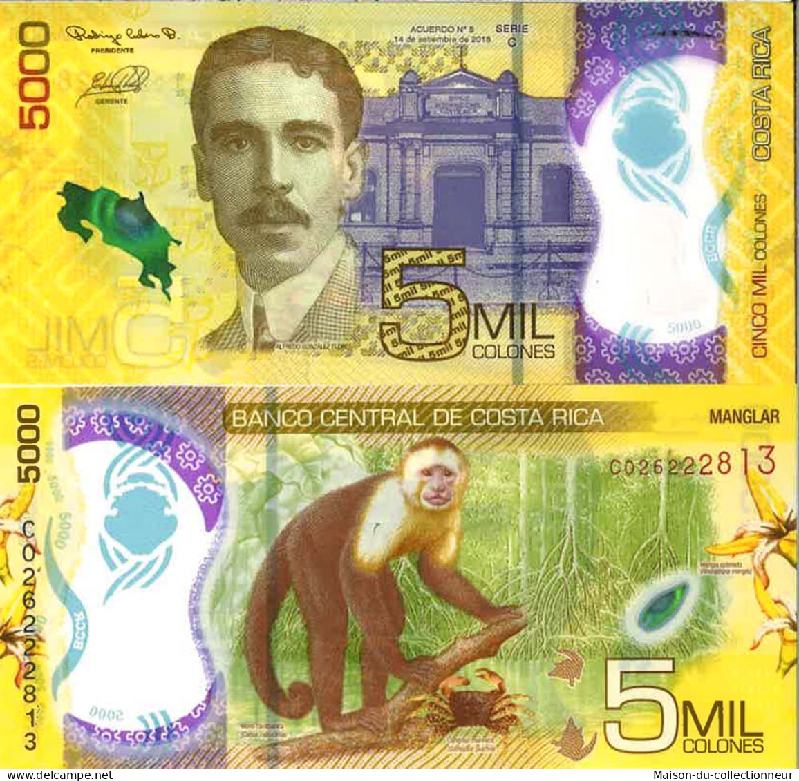 Billet De Banque Collection Costa Rica - W N° 282 - 5 000 Colones - Costa Rica