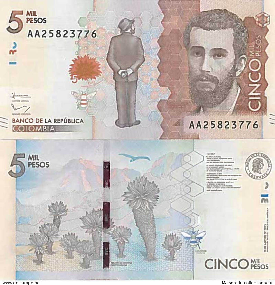 Billet De Banque Collection Colombie - PK N° 459 - 5 000 Pesos - Kolumbien