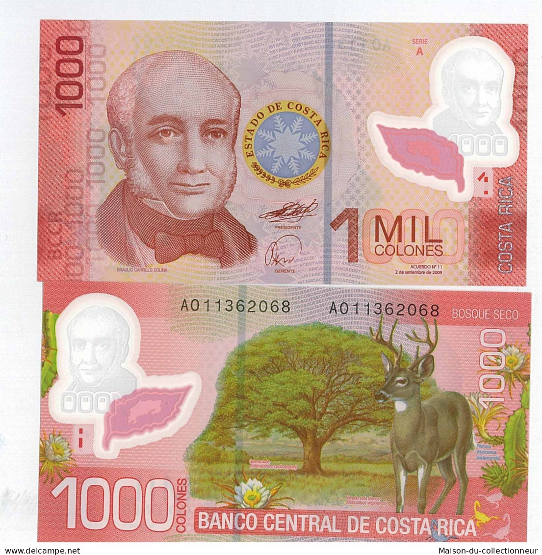 Billet De Collection Costa Rica Pk N° 274 - 1000 Colones - Costa Rica