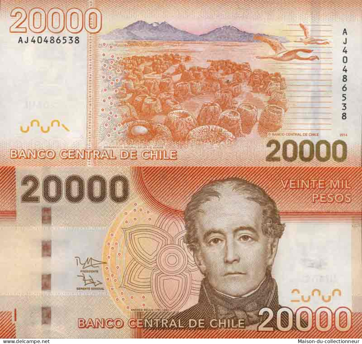 Billet De Banque Collection Chili - PK N° 165 - 20 000 Pesos - Chile