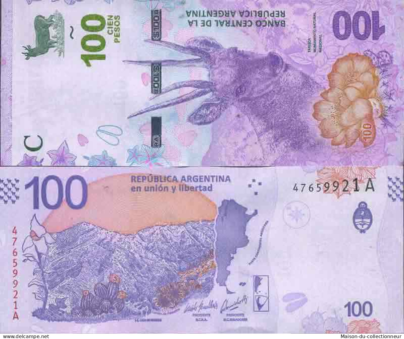 Billet De Banque Collection Argentine - W N° 363 - 100 Pesos - Argentine
