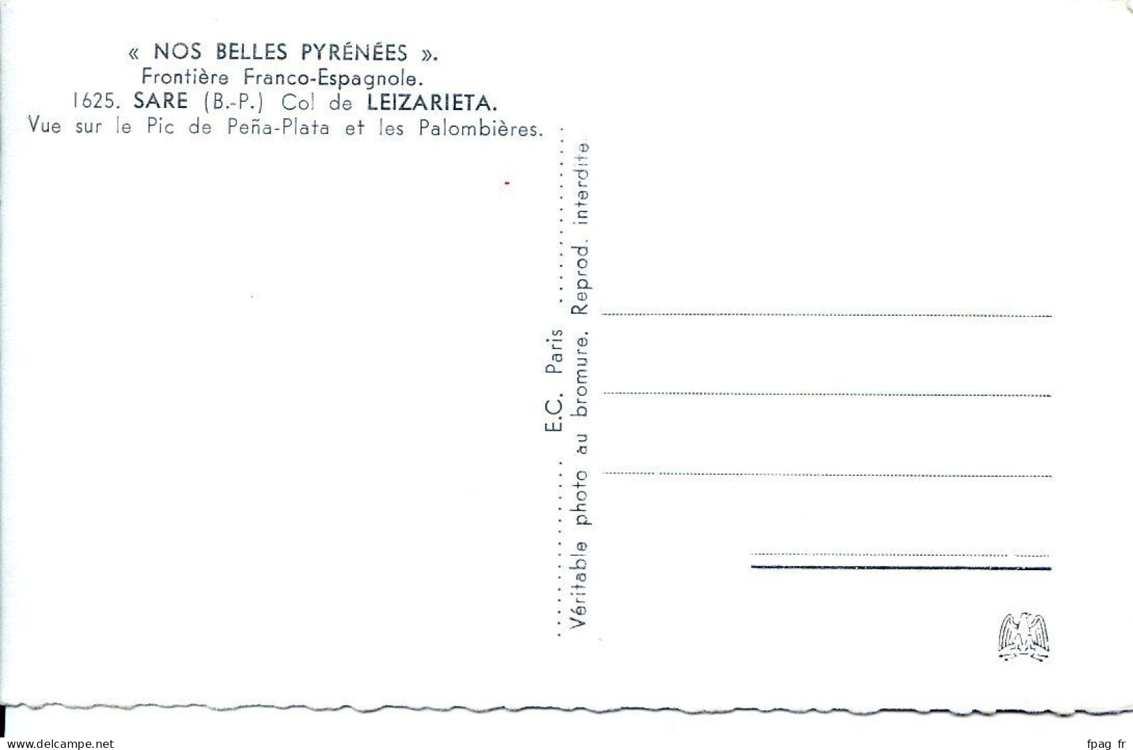 Sare (64 - Pyrénées Atlantiques) - Col De Leizarieta - Vue Sur Le Pic De Peña-Plata Et Les Palombières - Sare