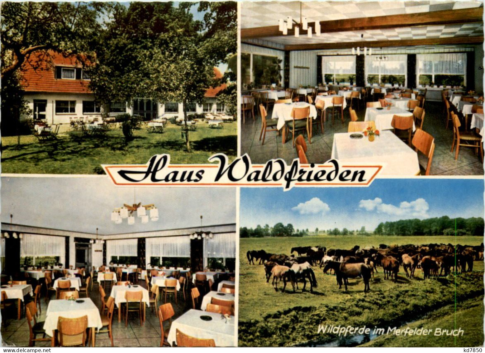 Dülmen, Gasthaus Waldfrieden Am Wildpark, Div. Bilder - Coesfeld