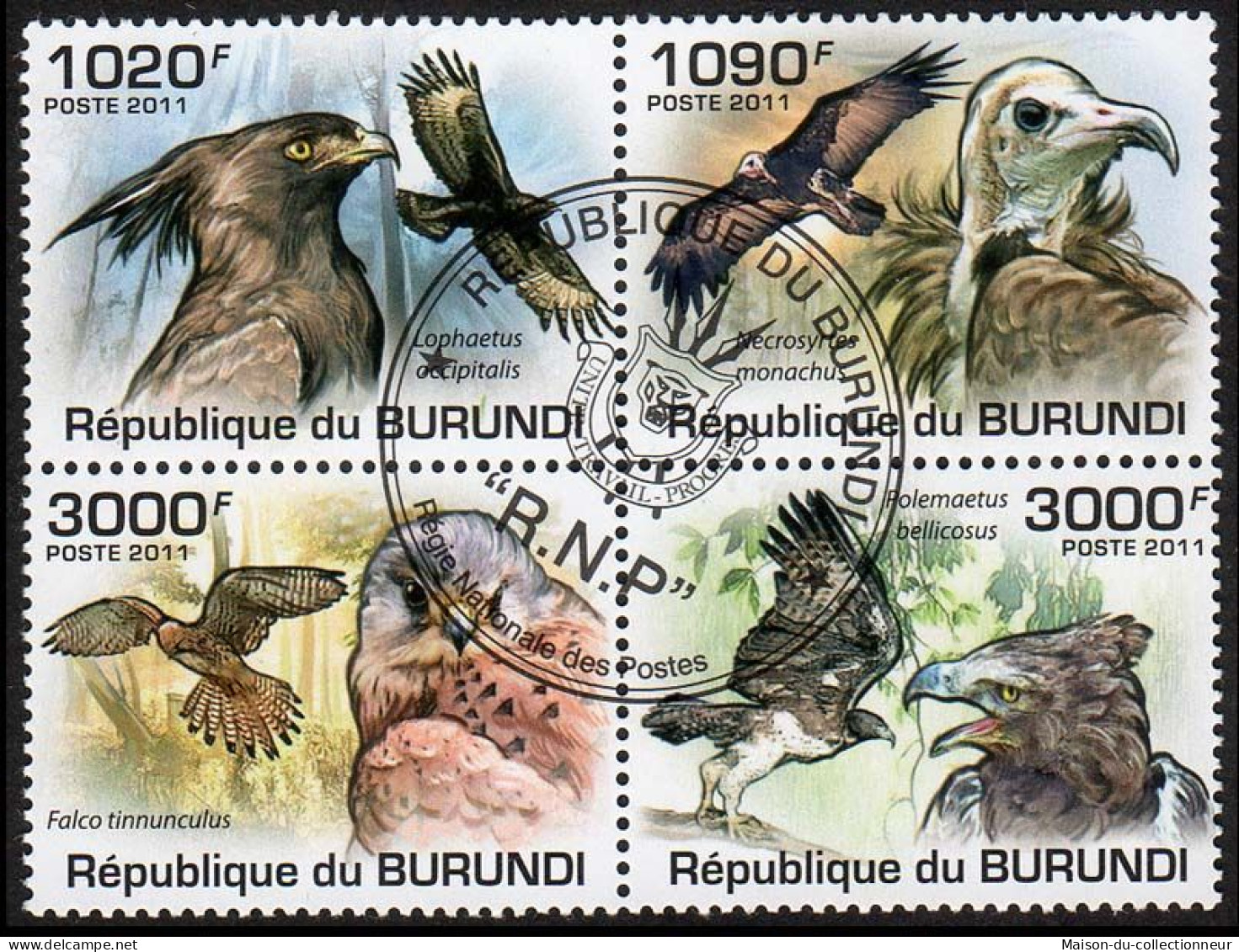 Timbres Thématiques Burundi Rapaces Oblitérés - Sammlungen