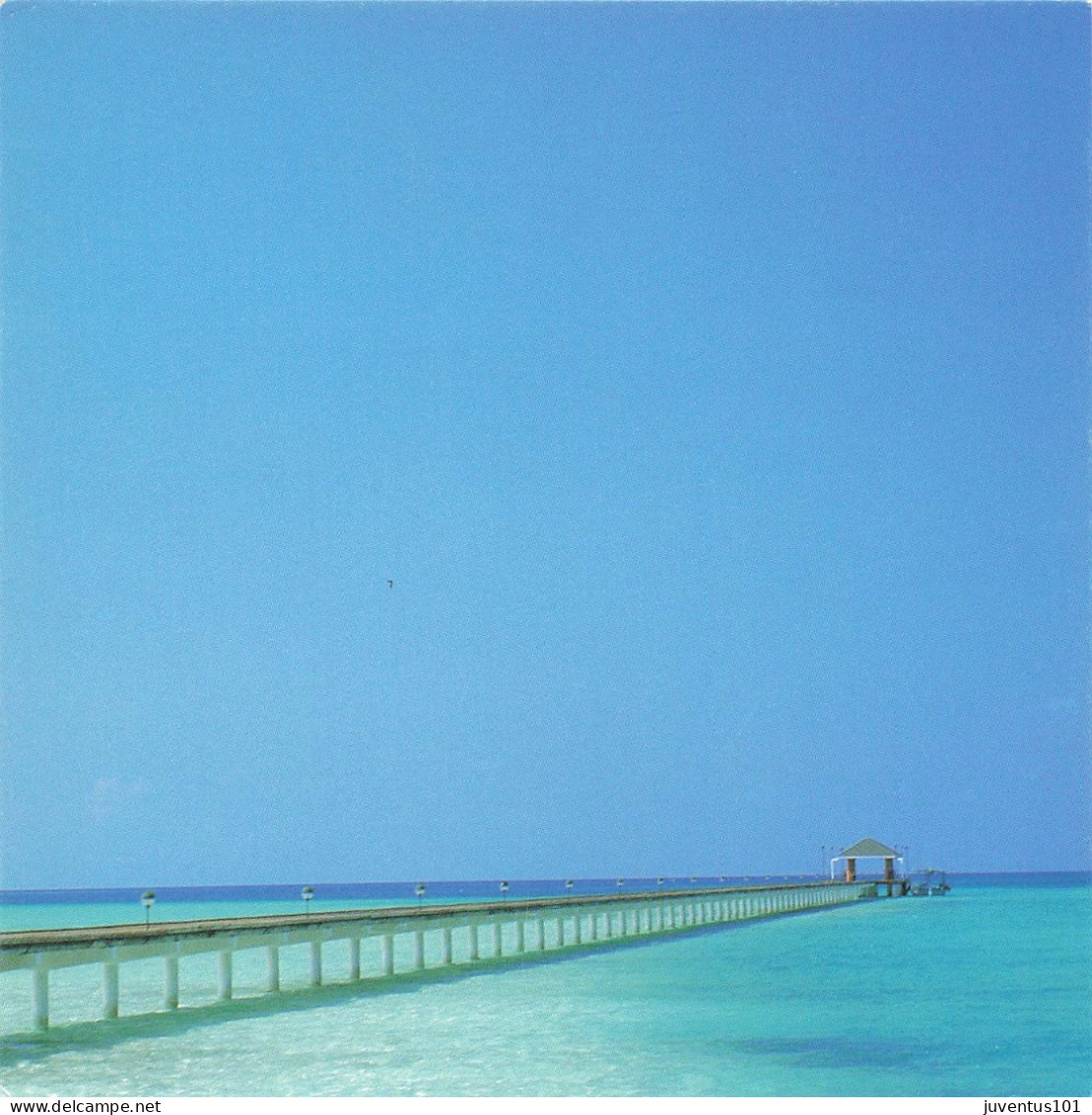 CPSM Format Special-Maldives-Yukimasa Hirota-RARE      L2574 - Maldivas